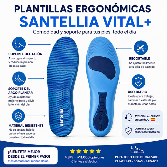 Plantillas zylos+
