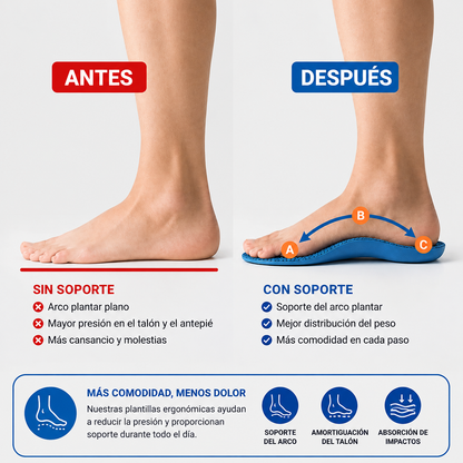 Plantillas zylos+